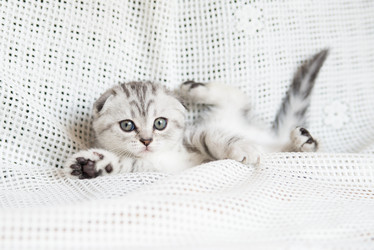 Similar image 15926993