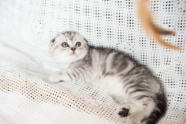 Similar image 15926997