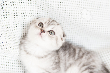 Similar image 15927000