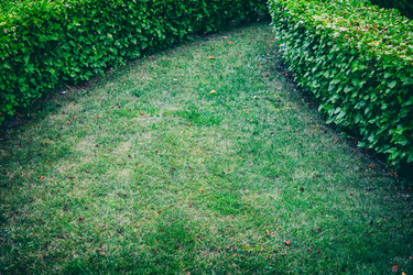 Similar image 16222960