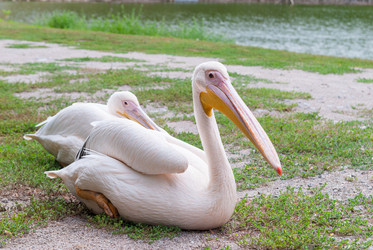 Similar image 15928991