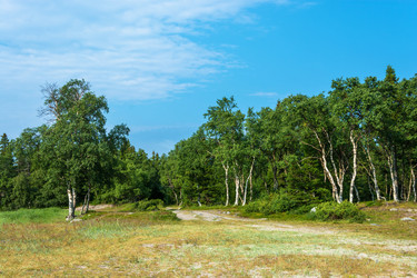 Similar image 16119483