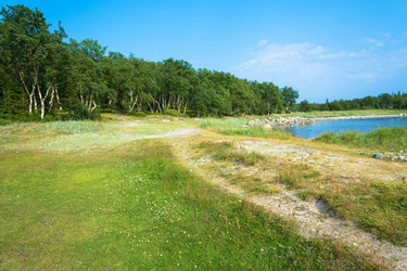 Similar image 16119505