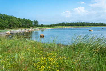 Similar image 16119527