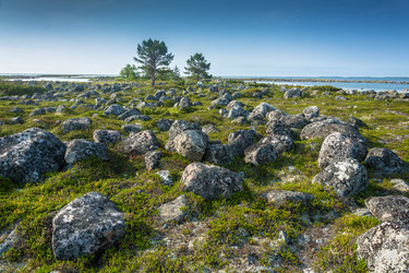 Similar image 16119733