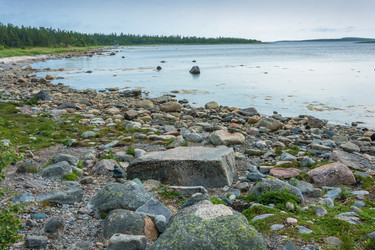 Similar image 16119846