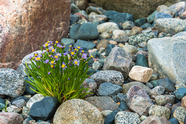 Similar image 16119890