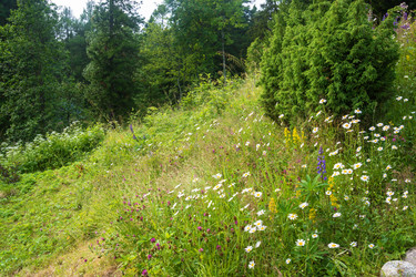 Similar image 16120866