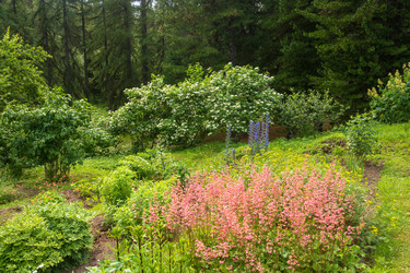 Similar image 16120062