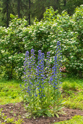 Similar image 16120131