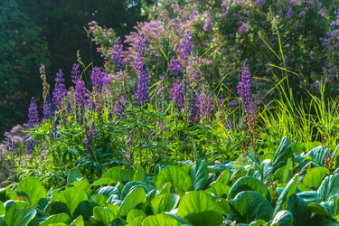 Similar image 16120168