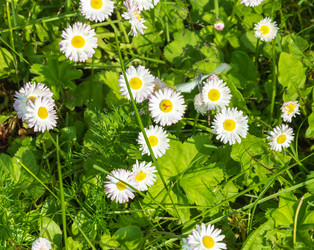 Similar image 16120273