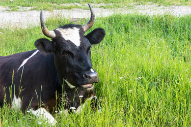 Similar image 16120337