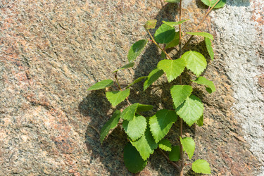 Similar image 16120361