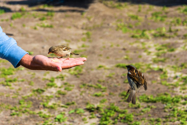 Similar image 16158642