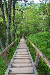 Similar image 16163844