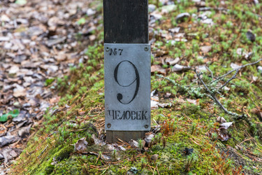 Similar image 16164315