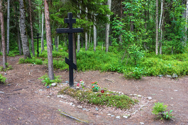 Similar image 16164568