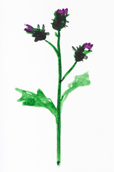 Similar image 16224802