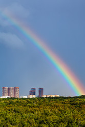 Similar image 16225061