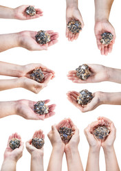 Similar image 16224946