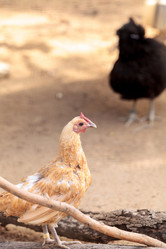 Similar image 15916101