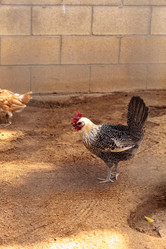 Similar image 15916102