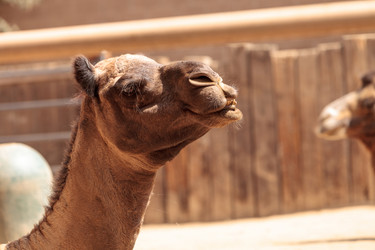 Similar image 15916198