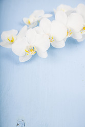 Similar image 16141826