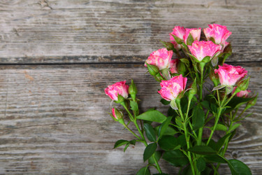 Similar image 16141275