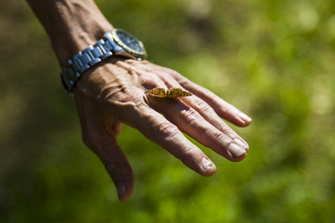 Similar image 16141293