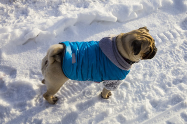 Similar image 16152335