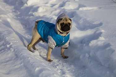 Similar image 16152351