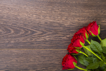 Similar image 16152385