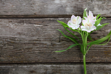 Similar image 16153992