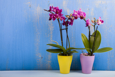 Similar image 16158923