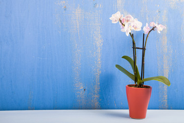 Similar image 16158955