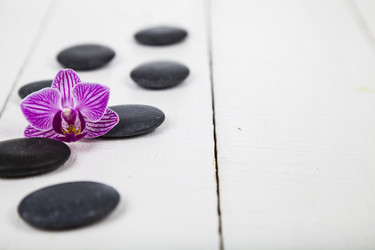 Similar image 16160006