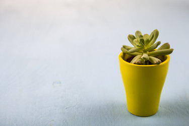 Similar image 16139658