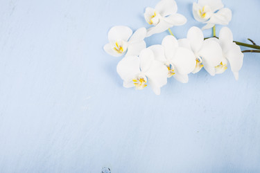 Similar image 16139830