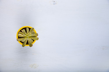 Similar image 16139844