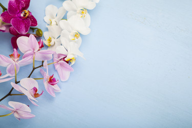 Similar image 16139903