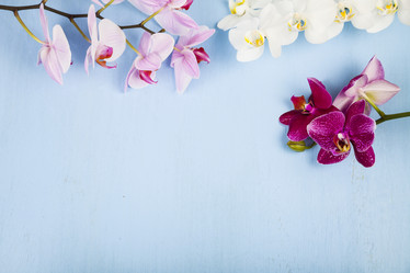 Similar image 16139997