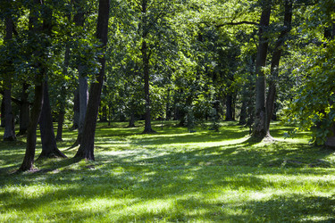 Similar image 16142873