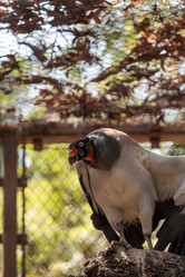 Similar image 15916105