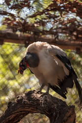 Similar image 15916107