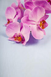 Similar image 16145962