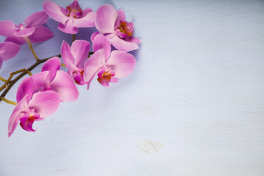 Similar image 16145991