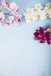 Similar image 16146005