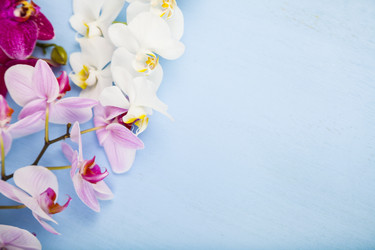 Similar image 16147523